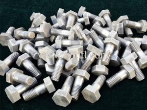 Molybdenum screws